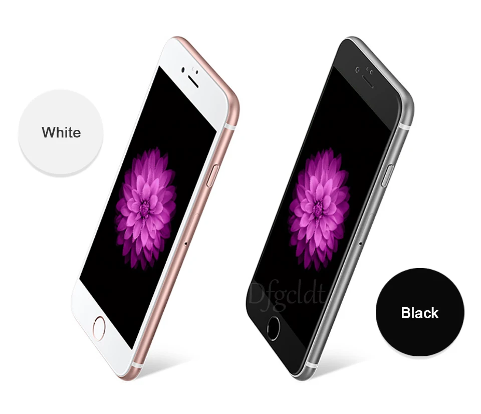 screen protector