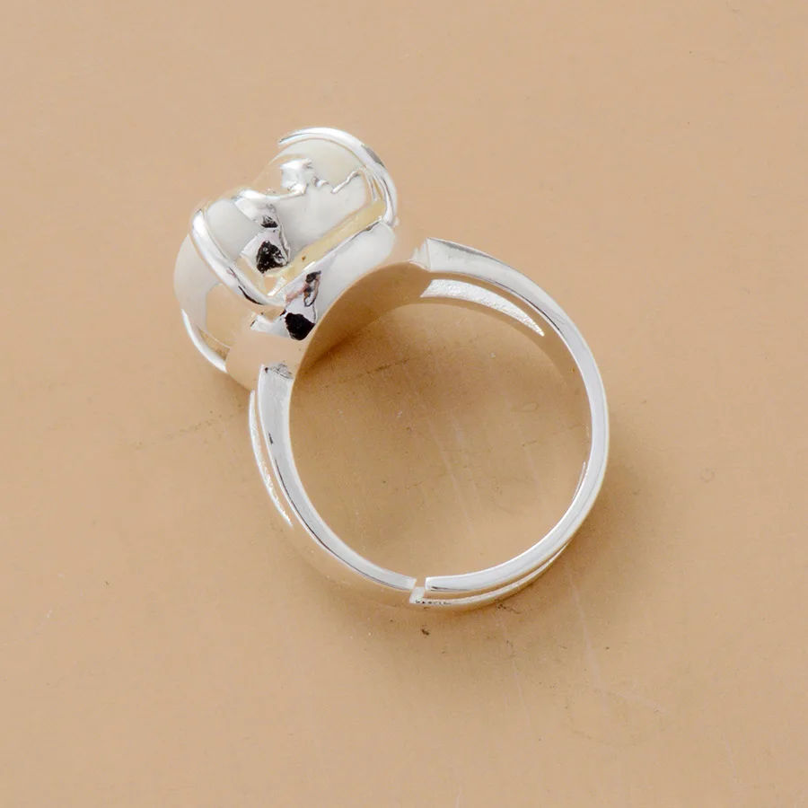 SKR1905003 D