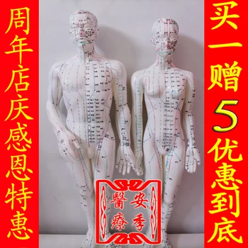 

free shipping Meridian model human acupuncture point human body model 50cm male or female