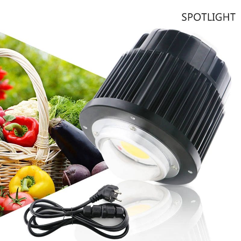 Cree CXB3590 COB LED Chip 100W Full 