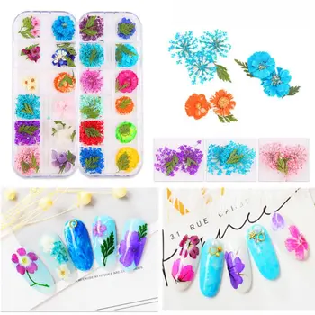

12 Pcs/box Dried Flowers Epoxy Sheet UV Decoration Resin Silicone Mold DIY Jewelry Filler Beauty Nail Accessory