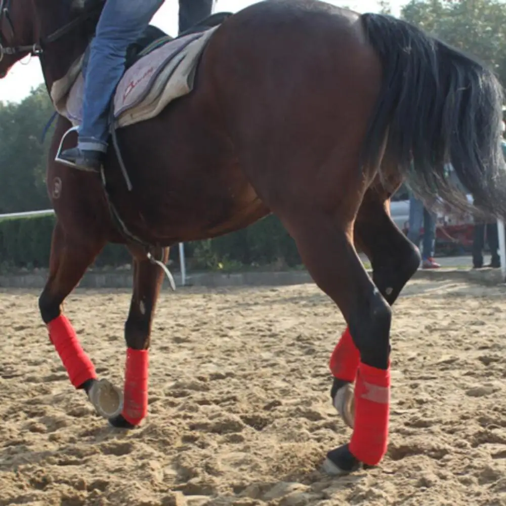 4 Pieces Horse  Wraps Pony Legging Protection Wrap Bandage  Outdoors 