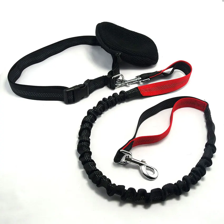 dog leash nylon