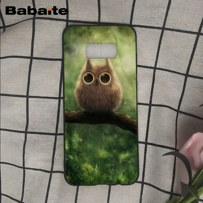 colorful the best one of owl
