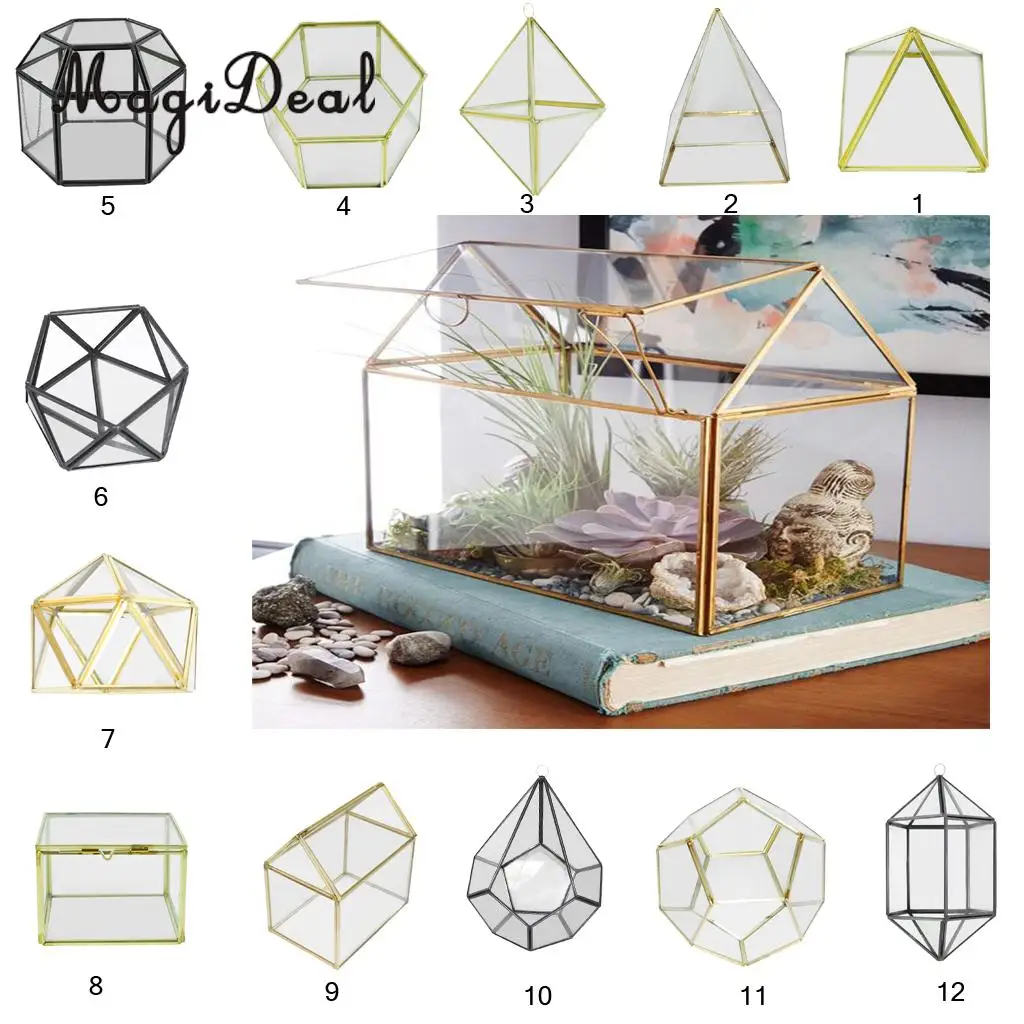 MagiDeal Clear Glass Terrarium Planter Succulent Plants Container Wall Hanging Ornament 12 Style PIICK
