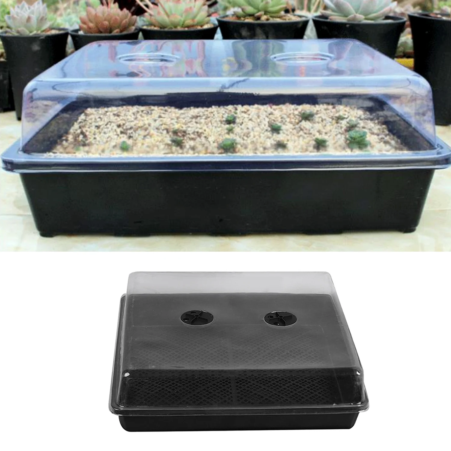 Behogar 32x23x7cm Rreusable Plastic Plant Growing Tray Drain Hole Cover for Garden Greenhouse Seedlings Wheatgrass Microgreens