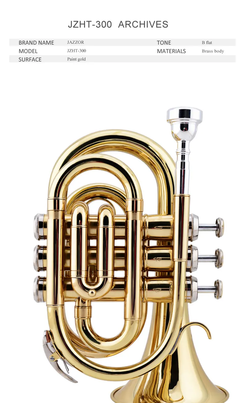 JZHT-300-(1)_01
