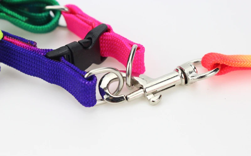 Colorful Rainbow Pet Dog Collar Harness Leash Soft Walking Harness Lead Colorful and Durable Traction Rope Nylon 120cm