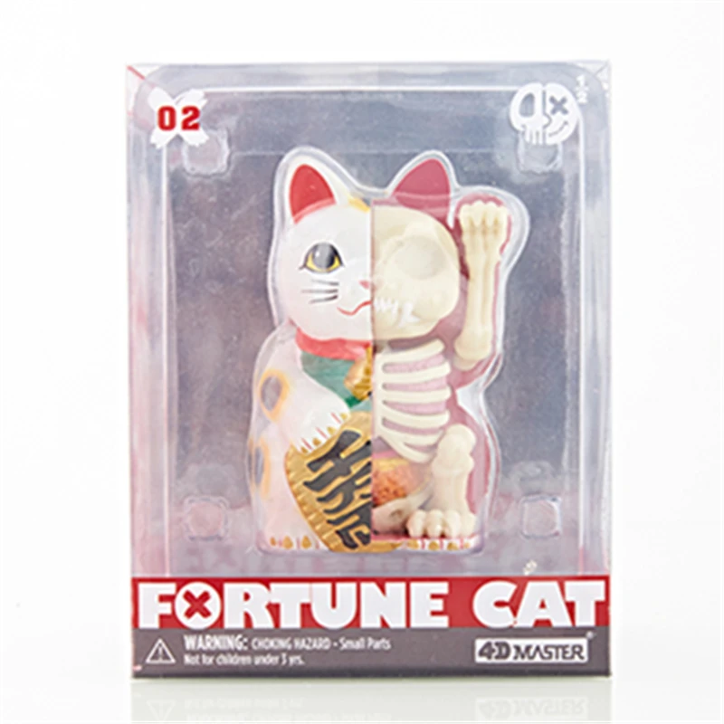 Limited Ed. Fortune Cat Anatomy 