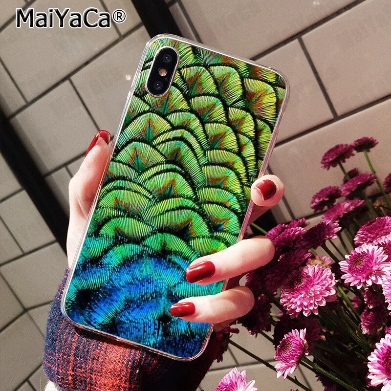 Pretty Peacock Scenery