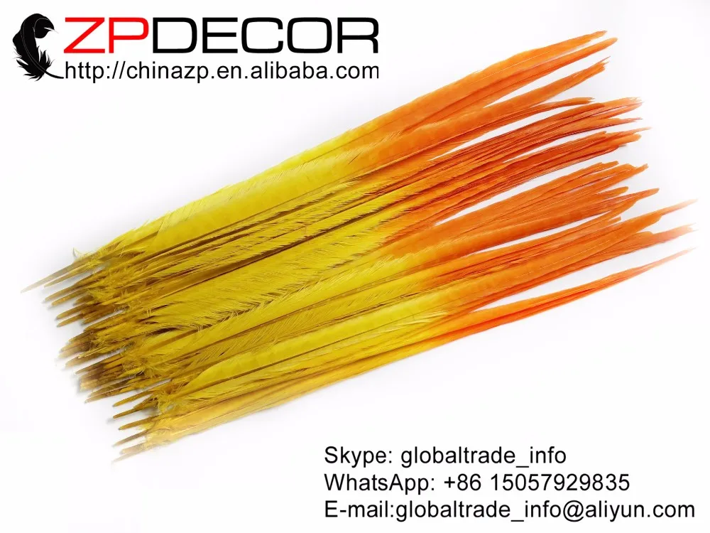 Orange&Yellow Ringneck Pheasant Tail Feather (3)