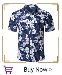 hawaiian_02