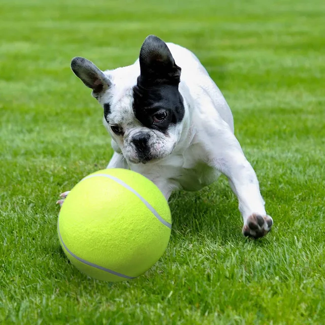 HATELI 24CM Giant Tennis Ball For Pet Chew Toy Big Inflatable Ball Signature Mega Jumbo Pet Toy Ball Supplies Outdoor Cricket