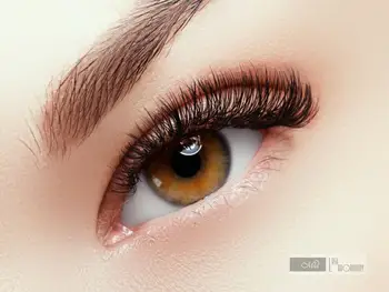 

[0.12/0.15/0.20 C/D/DD/D+ 8-15mm/Mix] Mia 2.0 Premium Silk Lashes Semi Permanent Individual Eyelash Extension