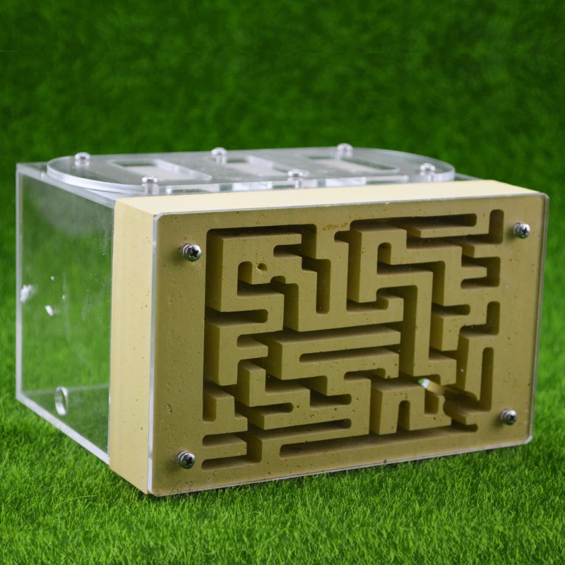 Buy New Ant Housing Nest Insect Cage Farms Feed