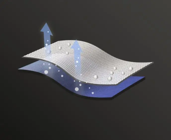 36020181226164838173