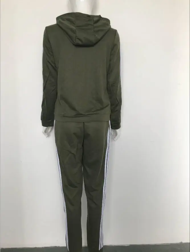 2018 New Tracksuit Women 2 Pieces Set Outwear Sweatsuit Zipper Striped Causal Long Sleeve Sweatshirt + Long Pants Women