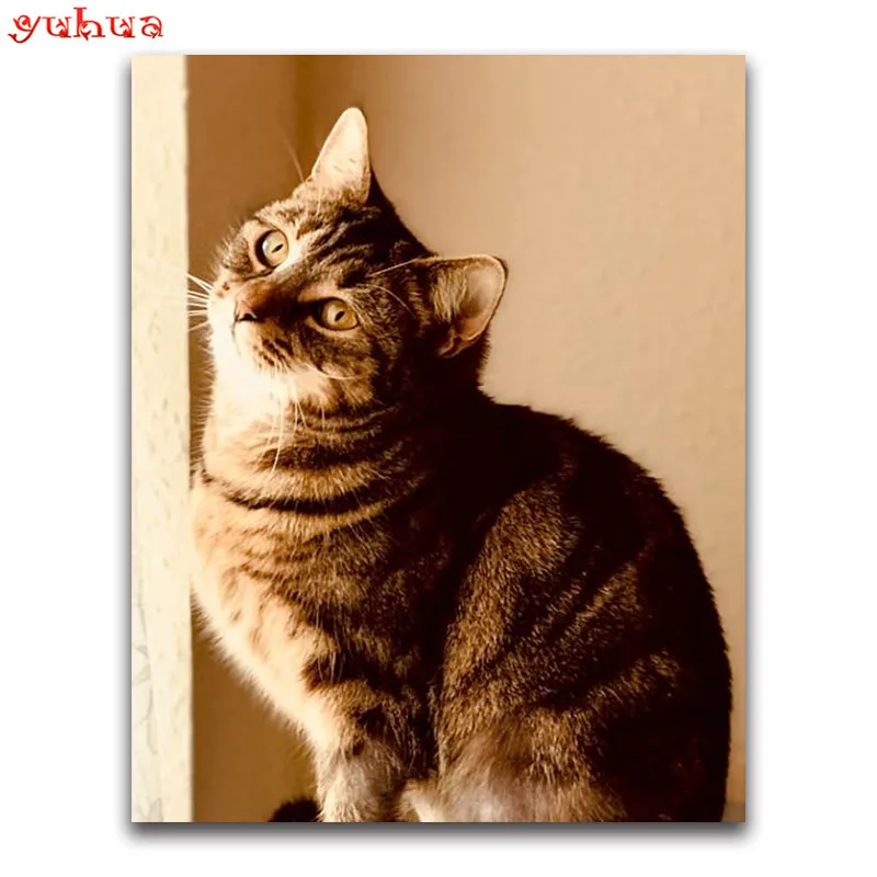 DIY 3D Diamond painting Cross stitch Animal colorful Cats Round Diamond mosaic paintings Full Square Diamond embroidery dierlijk_