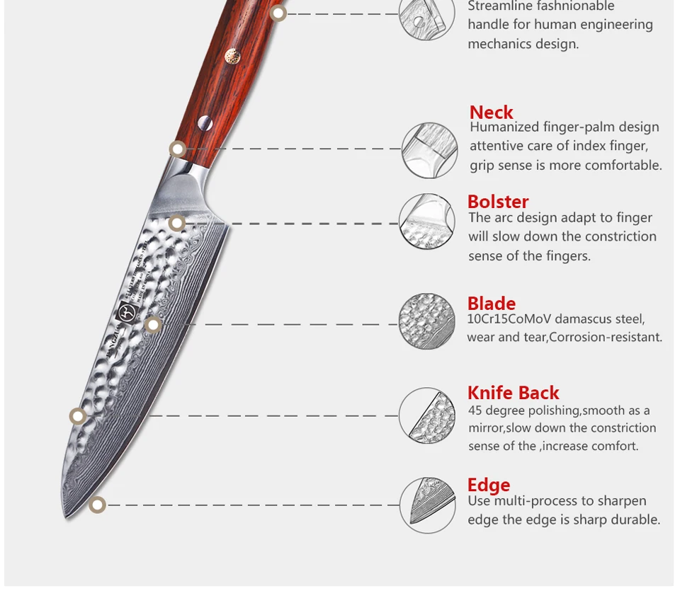 FANGZUO 5 дюймов Универсальный нож 67 слоев японской дамасской стали кухонный нож острый многоцелевой резак ножи Палисандр Ручка