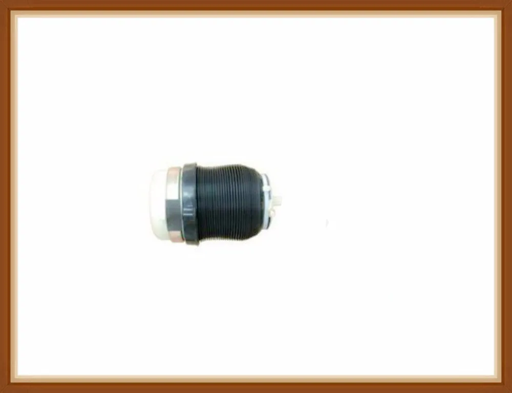 

AIR SPRING/ AIRSUSPENSION For AUDI A6/C6 4F , Luftfederung Luftfeder Hinten Sospensione Molla Pneumatica Ad Aria Indietro