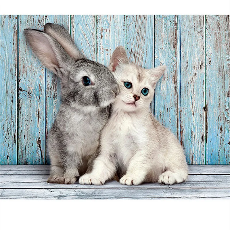 ���� �������� �������� ����� � ������ �������� �������� �������