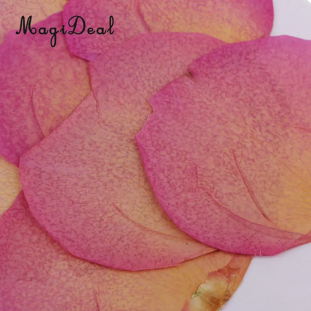 12 Pieces Pink Natural Real Dried Rose Flower Petals for DIY Wedding Christmas Card Making Phone Case Decoration