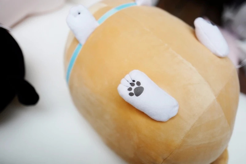 HTB1AnmVcwaTBuNjSszfq6xgfpXaE