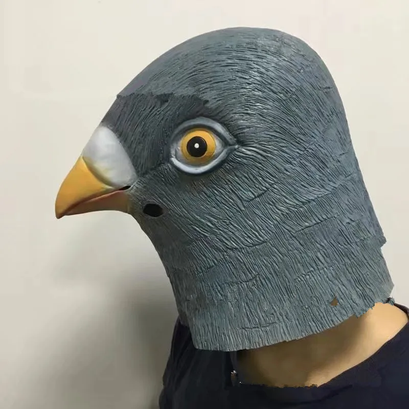 4283975940_80674339_