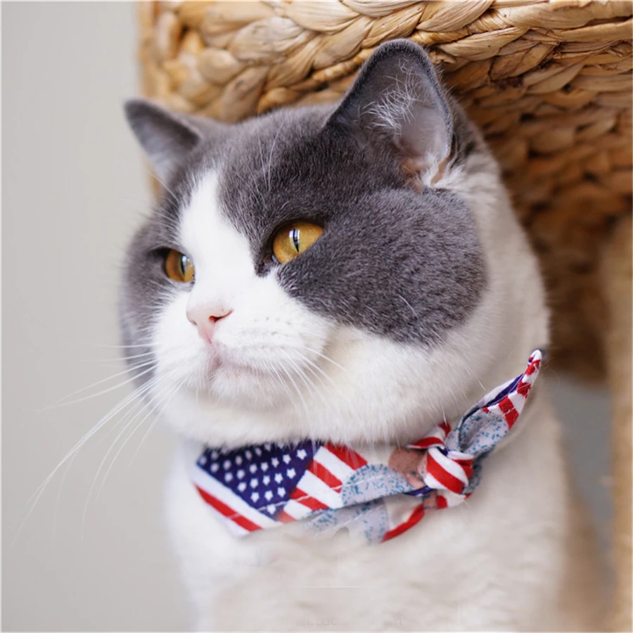 Pet Supplies Cat Clothes Cats Wear Costume Hoopet Products For Pet