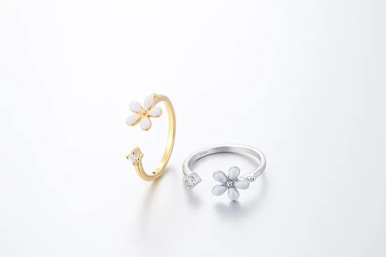 8162541491_1039125567