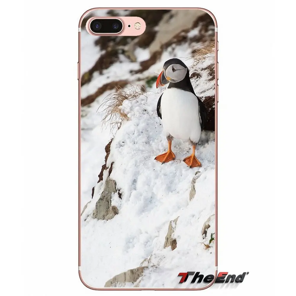 Атлантический тупик Фарерские острова мягкий чехол для iPhone X 4 4S 5 5S 5C SE 6 6 S 7 8 плюс samsung Galaxy J1 J3 J5 J7 A3 A5 - Цвет: images 4