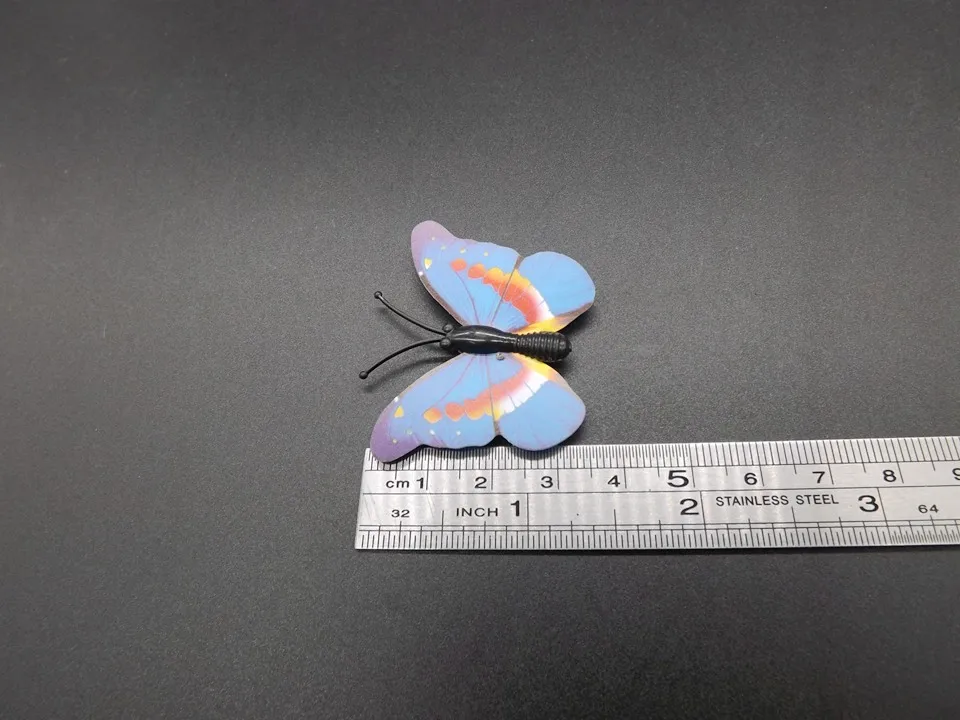 I266-Butterfly (11)