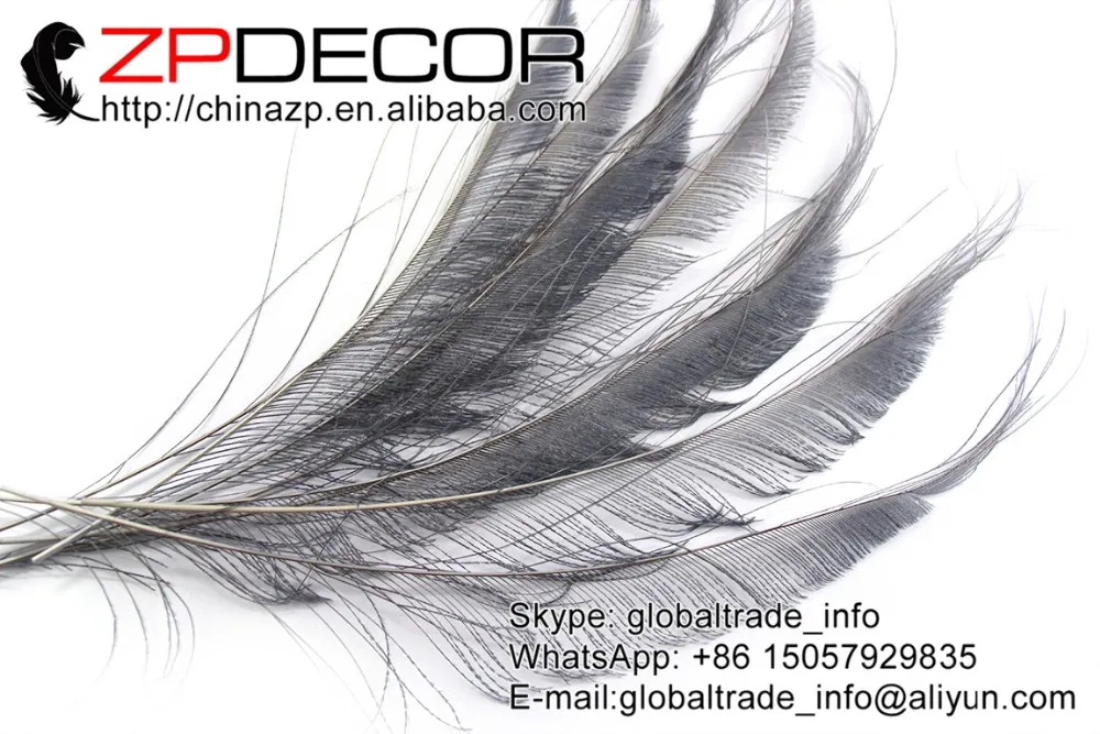 silver grey Peacock Swords Feather (2)
