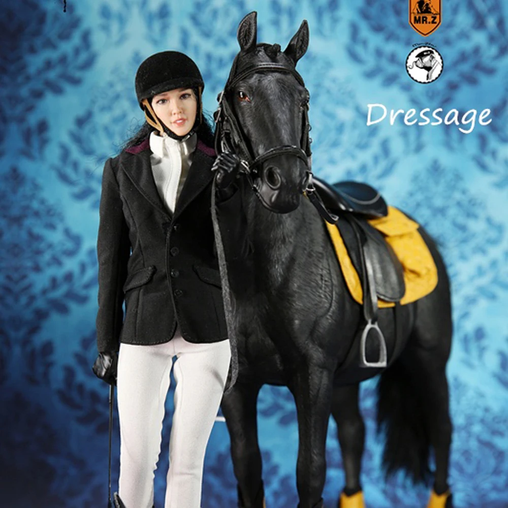 1/6 الجندي المشهد الاكسسوارات الفروسية دعوى (بما في ذلك سباق الخيل) 1/6 الجندي المشهد الاكسسوارات الفروسية دعوى (بما في ذلك سباق الخيل)