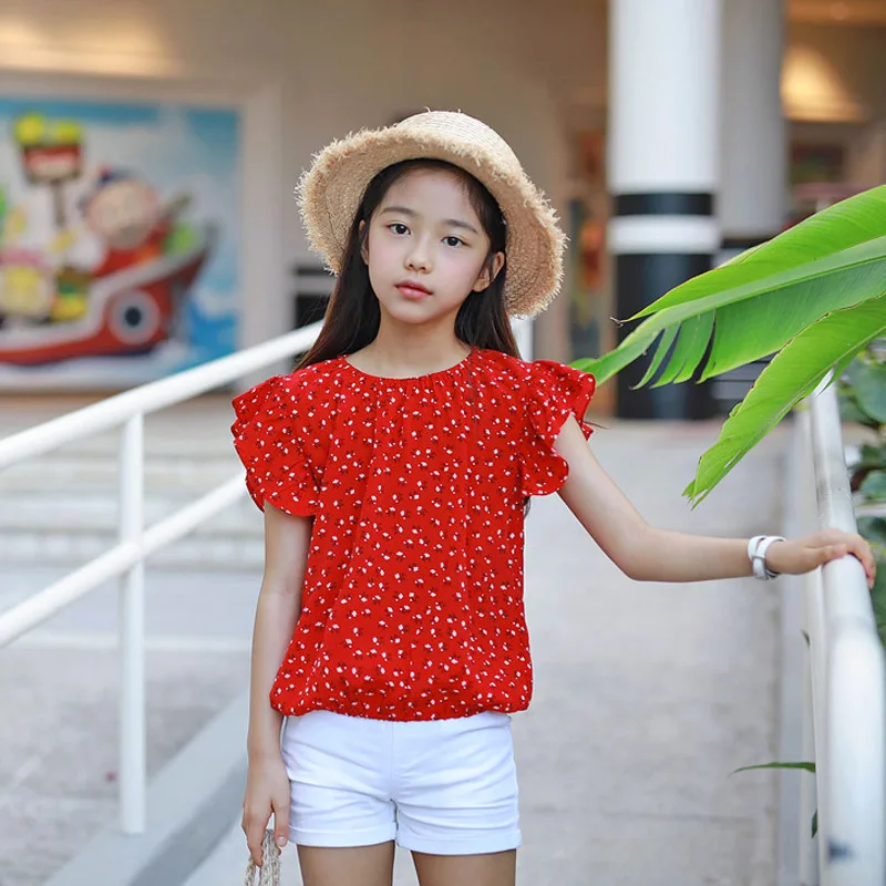 

2019 Summer Girls Clothing Sets Tshirt Shorts 2 Piece Set Cotton Ptinting Butterfly Sleeve Clothes Big Girls Party Cloths Set