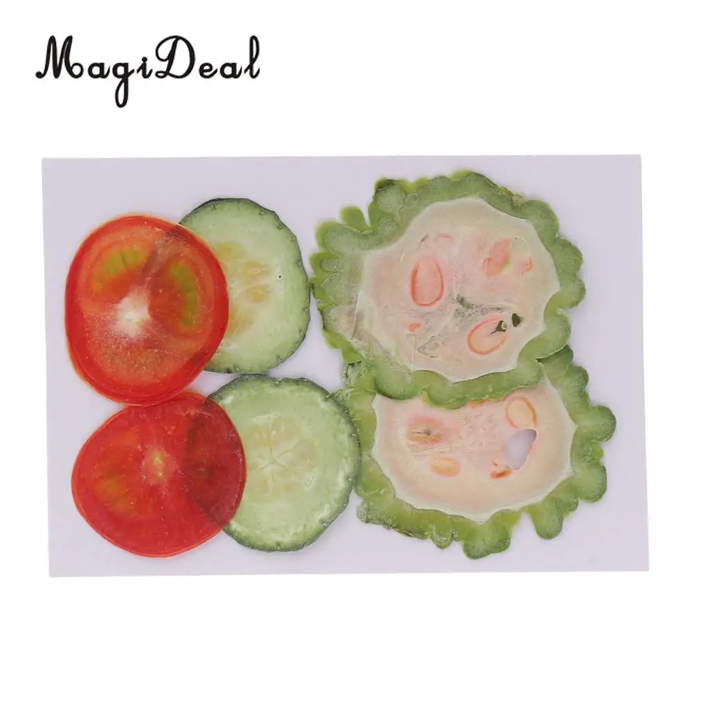 6Pcs Mix Dried Pressed Fruits Slices Plant Herbarium For Epoxy Resin Jewelry Making Phone Case Craft DIY Scrapbooking Decoration