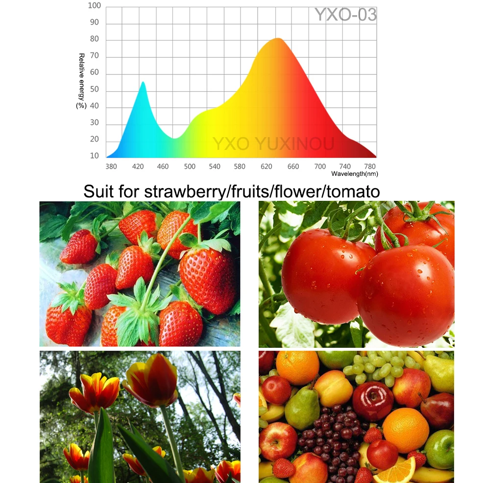 03 picture application