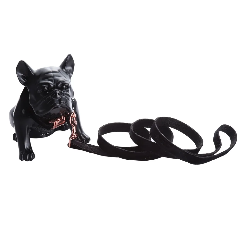 Pet Collar and Leash Set