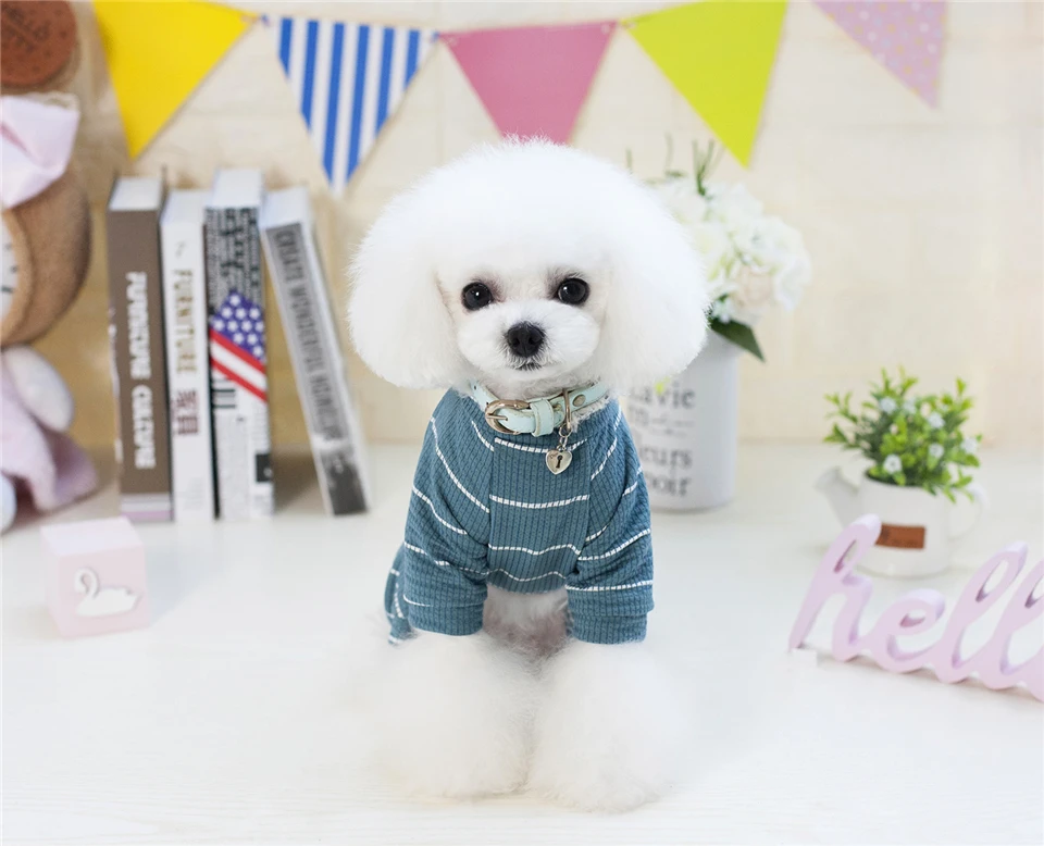 Spring Summer Cotton Dog Clothes Striped Clothing for Dogs Printed Lion Chihuahua Tracksuit Pet Clothes Suit for Dogs Pets (6)