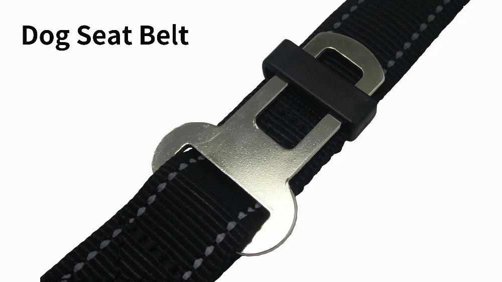 Dog Seat Belt