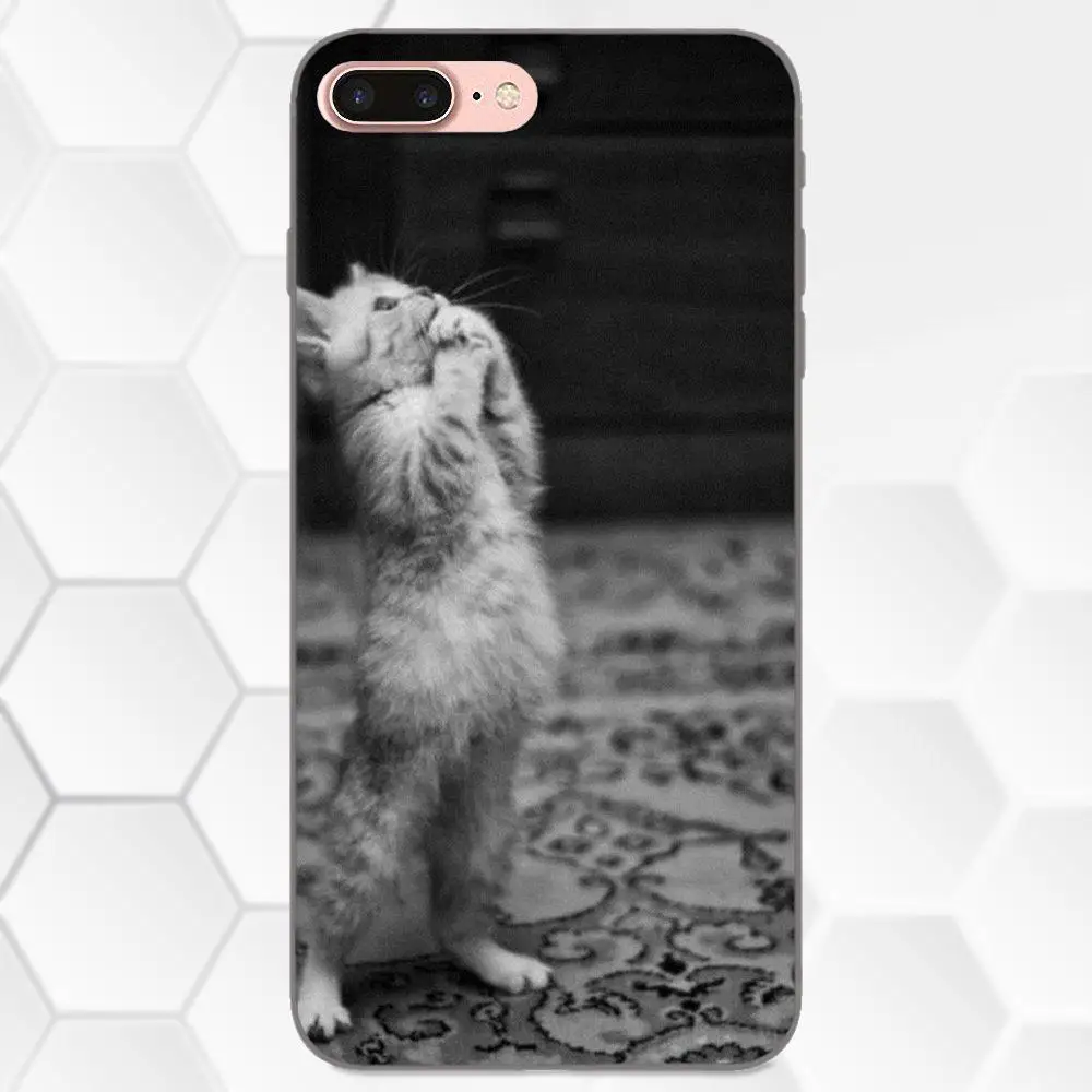Чехол для телефона из ТПУ молитвенные котята милые пластиковые коты Samsung Galaxy A3 A5 A6