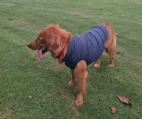 4616594061_1954311762