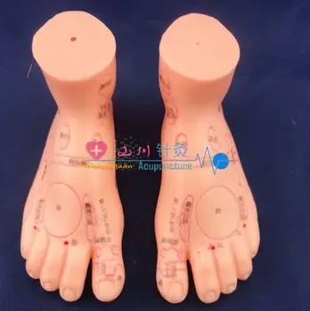 

Meridian pass foot model small / foot model reflex model foot film 1 pair 13 cm