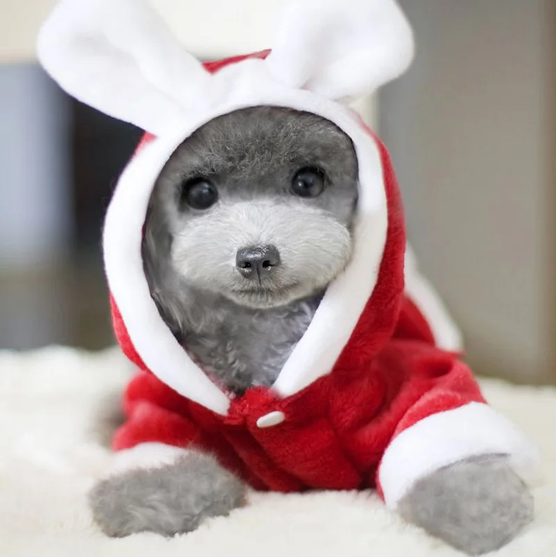 Puppy Pet Fleece Clothes Temperament Girl Design Love Heart Hoodie Dog Cat Winter Warm Coat Christmas Small Dress XS-XL | Дом и сад