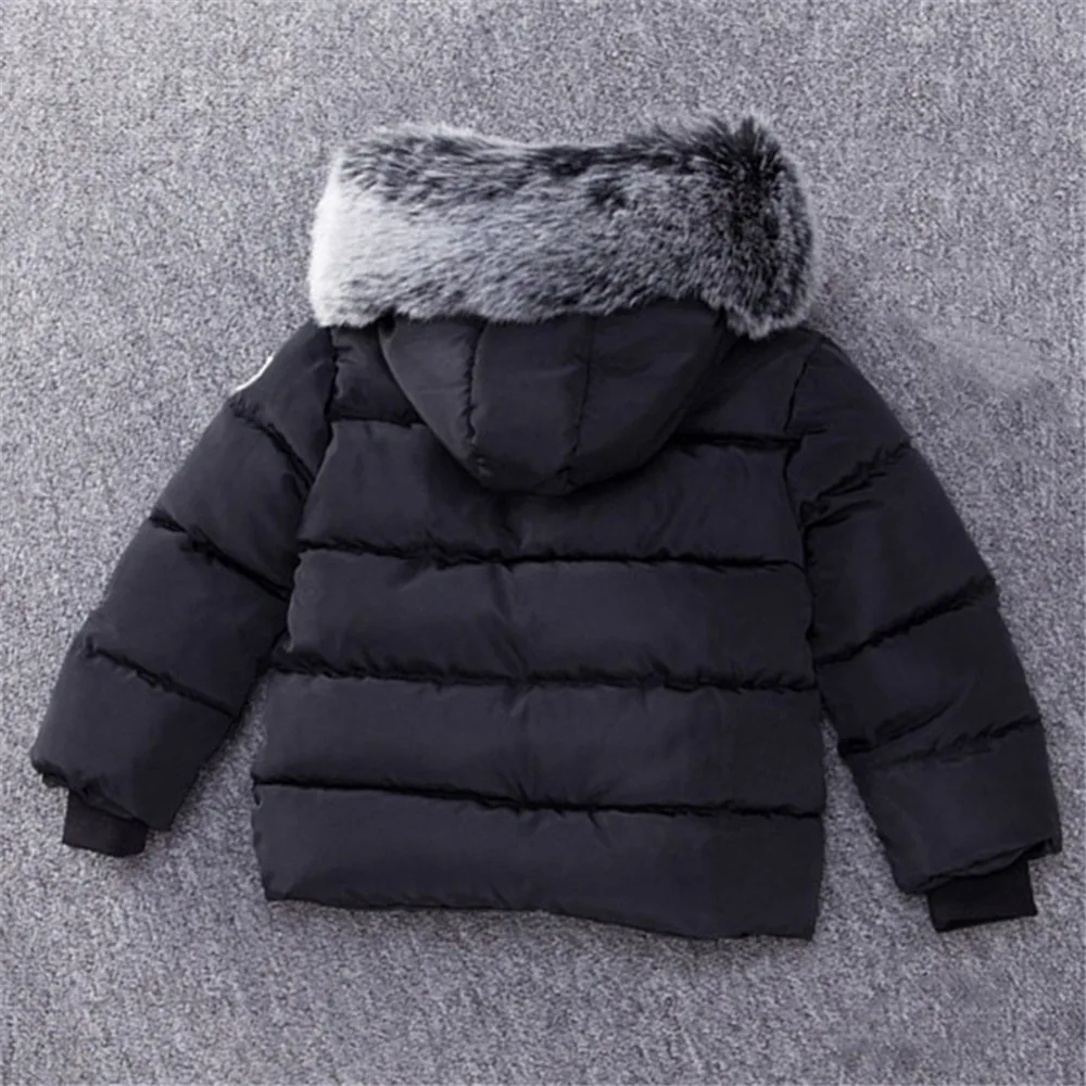 GC0034701 (4)