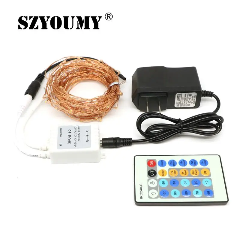 SZYOUMY 10M 100 Leds Copper Led String Light + 12V 1A Power Adapter