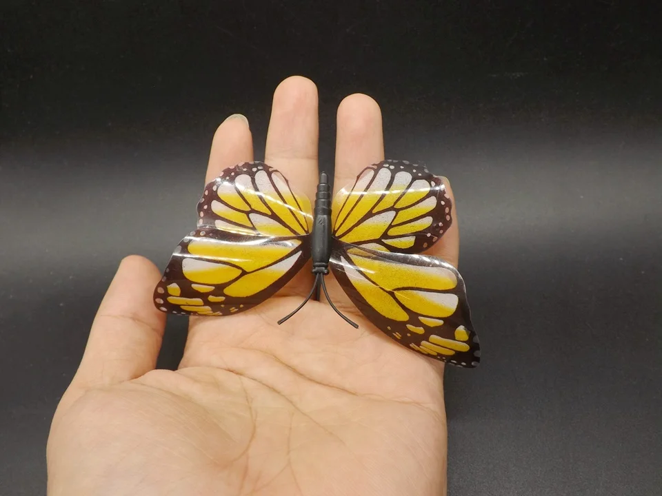 I271-Butterfly (3)
