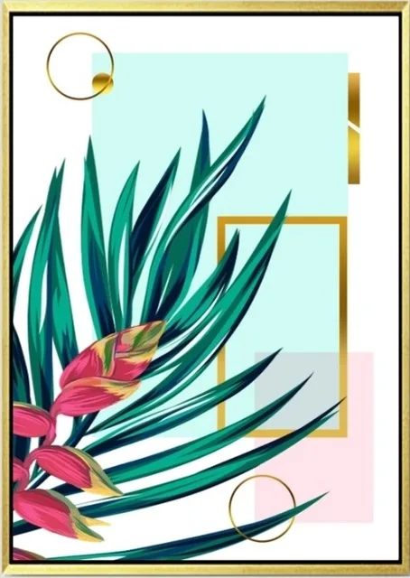0 (6)
