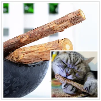 2 Pcs/bag Cat cleaning teeth Pure natural catnip pet cat molar Toothpaste stick fruit Matatabi cat snacks sticks hga