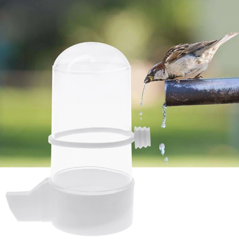 Кормушка для птиц водная поилка Budgie Canary Finch диспенсер для пищевых продуктов принадлежности для птиц для кормления домашних животных